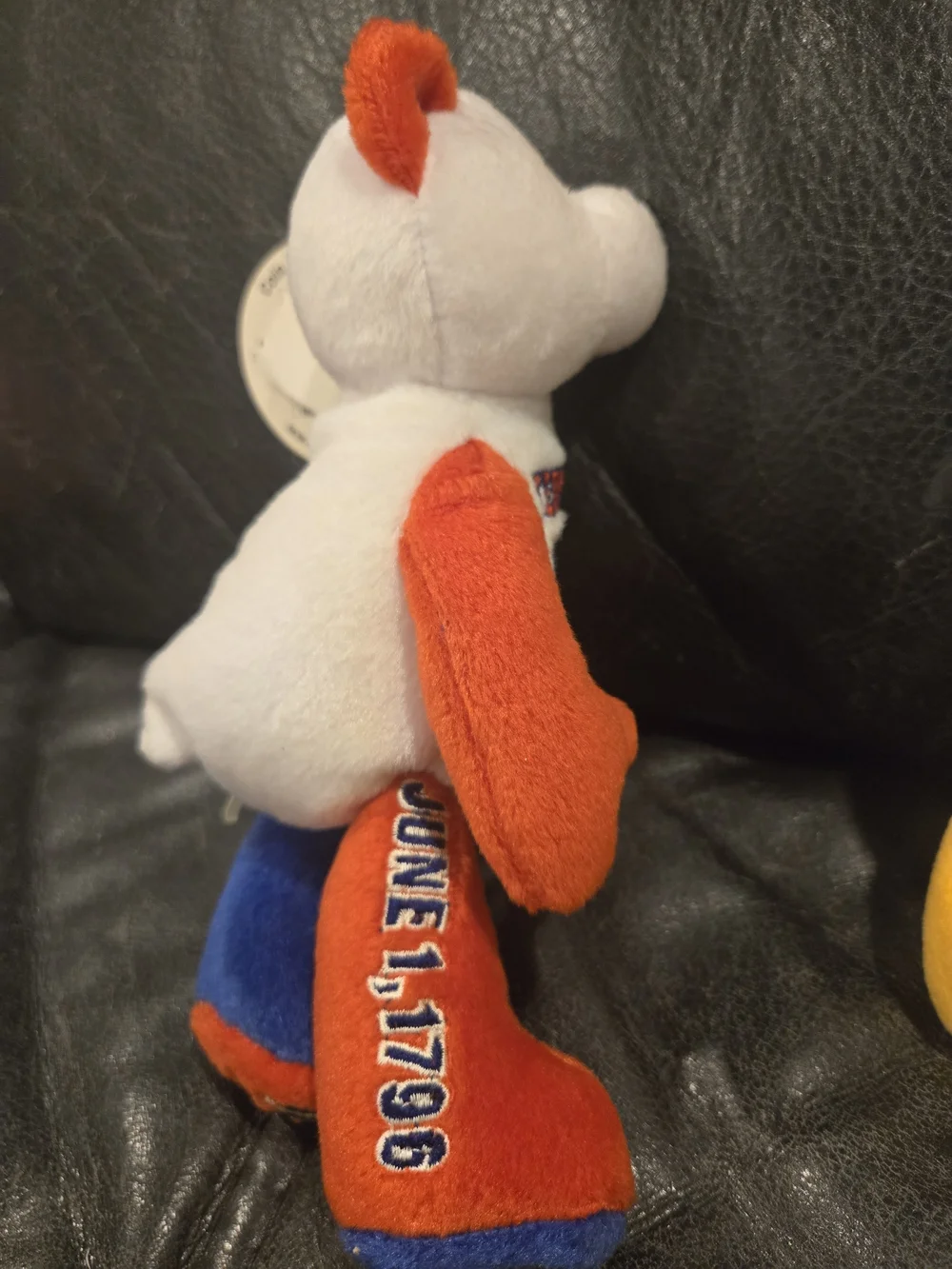 Limited Edition State Quarter Coin Bears – Collectible Plush- Like New - Picture 4 of 12